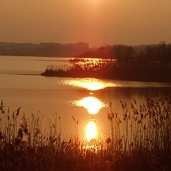 Chiemsee